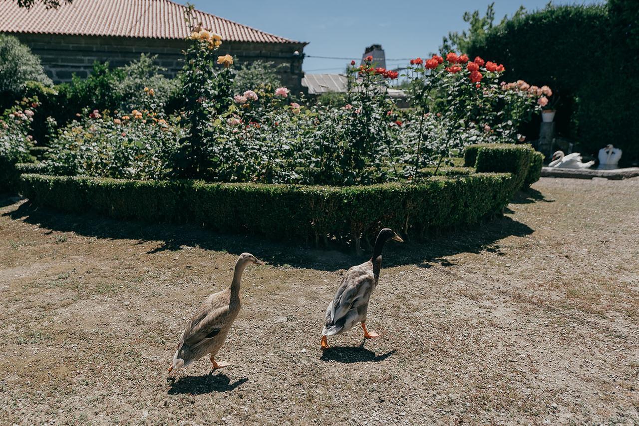 Casa Dos Pombais Bed and Breakfast Γκιμαράες Εξωτερικό φωτογραφία